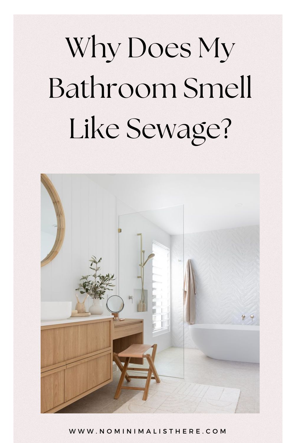 pinterest image for an article about   Why Does My Bathroom Smell Like Sewage?